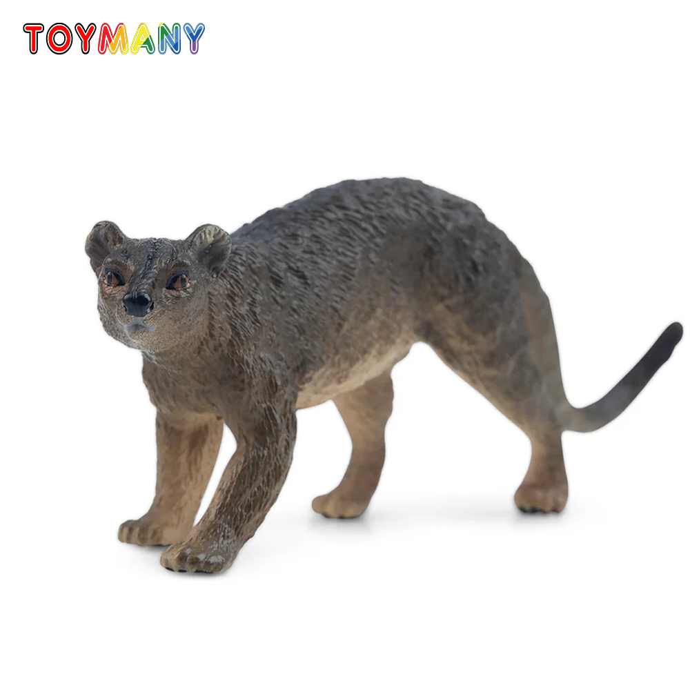 Toymany Simulation Fossa Madag - đánh giá và giá Kids Toys Under $5