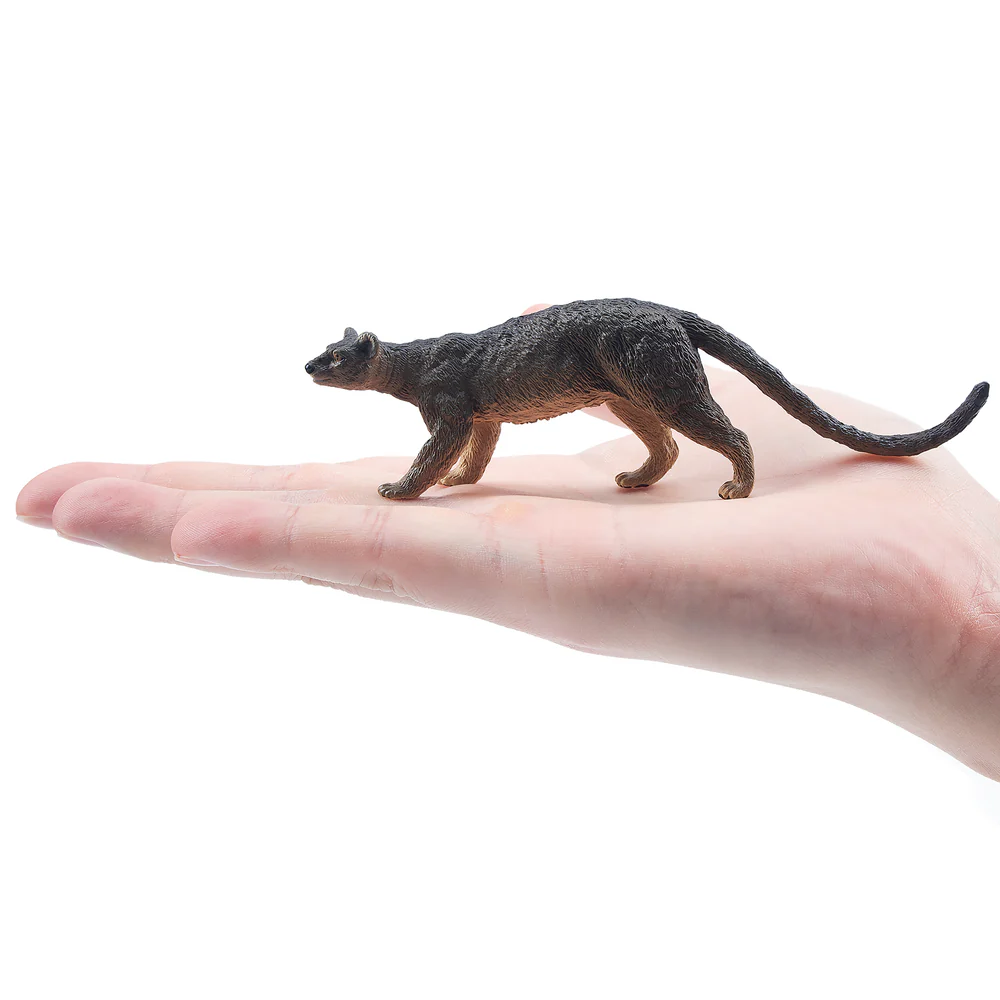 Toymany Simulation Fossa Madag - đánh giá và giá Kids Toys Under $5