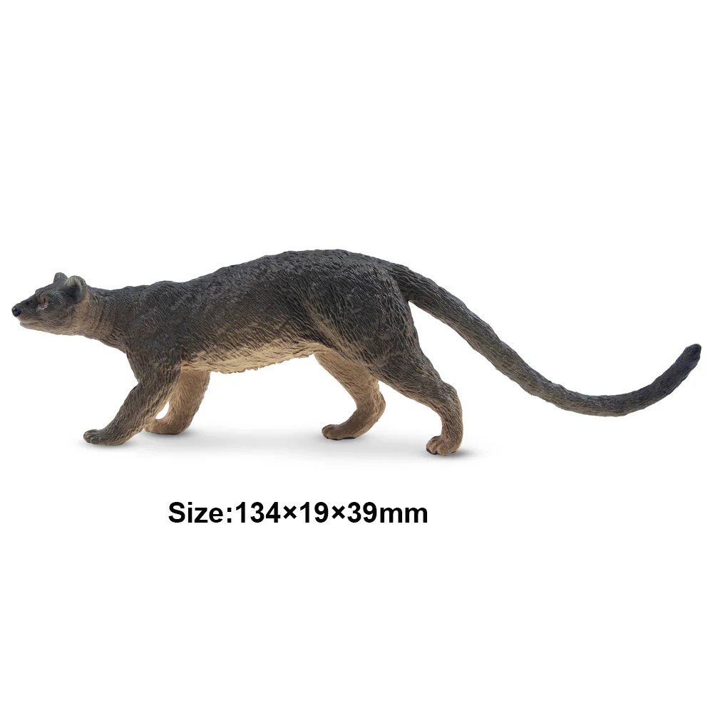 Toymany Simulation Fossa Madag - đánh giá và giá Kids Toys Under $5