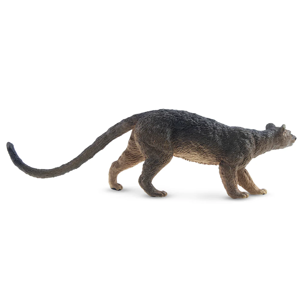 Toymany Simulation Fossa Madag - đánh giá và giá Kids Toys Under $5