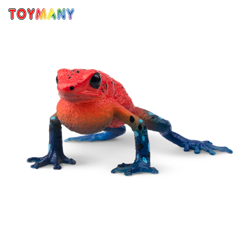 Toymany Simulation Strawberry  - đánh giá và giá Kids Toys Under $5