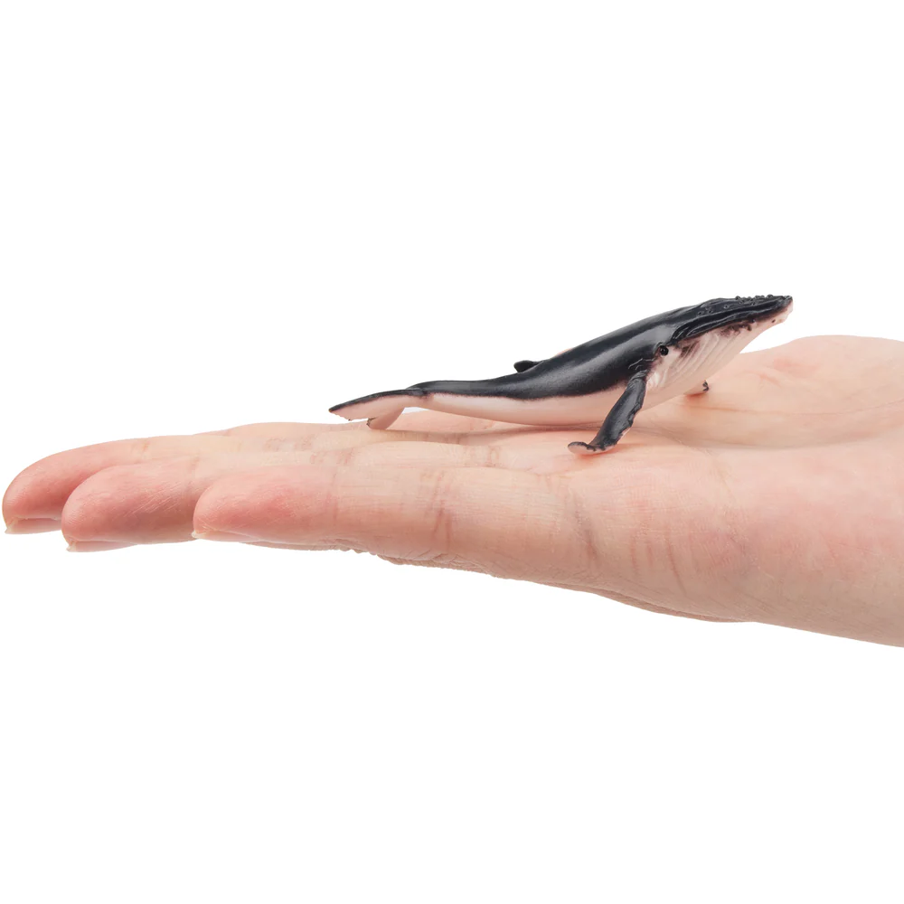 Toymany Simulation Humpback Wh - đánh giá và giá Kids Toys Under $5
